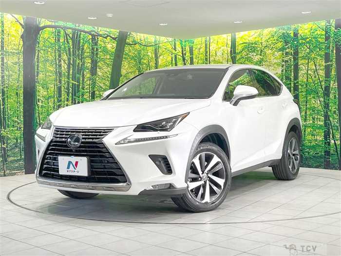 2018 Lexus NX