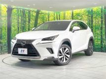 2018 Lexus NX