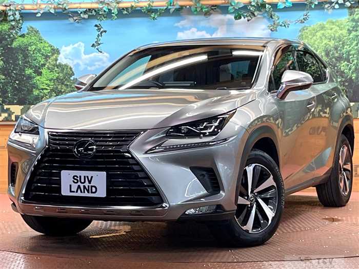 2017 Lexus NX