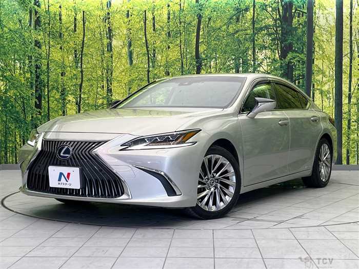 2019 Lexus ES
