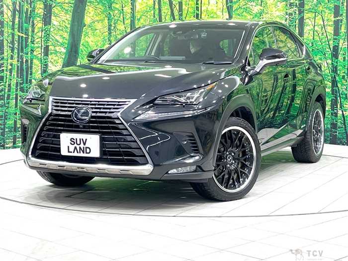 2018 Lexus NX
