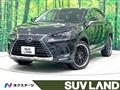 2018 Lexus NX