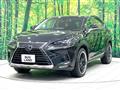 2018 Lexus NX