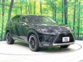 2018 Lexus NX