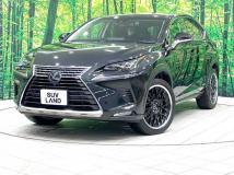 2018 Lexus NX