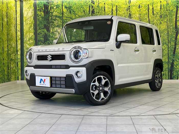 2025 Suzuki Hustler