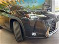 2019 Lexus Other