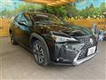 2019 Lexus Other
