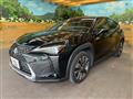 2019 Lexus Other