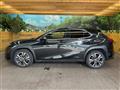 2019 Lexus Other