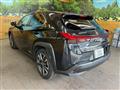 2019 Lexus Other
