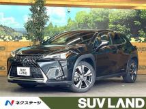 2019 Lexus Other