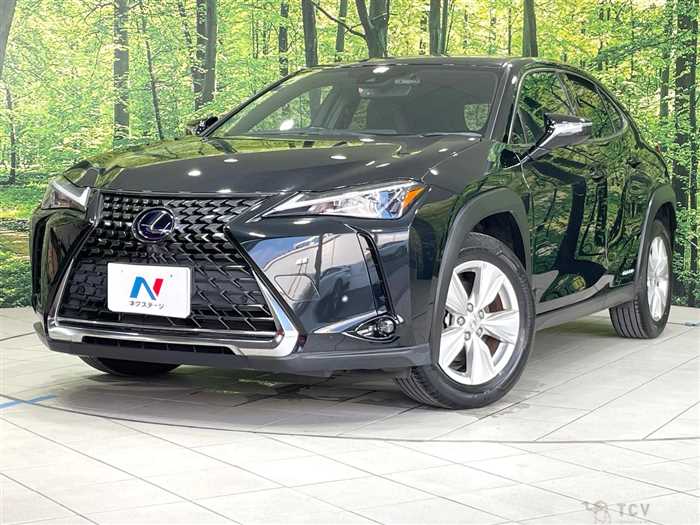 2020 Lexus Other