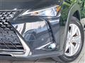 2020 Lexus Other