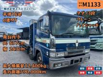 2006 Mitsubishi Mitsubishi Others
