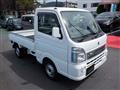 2019 Suzuki Carry Truck
