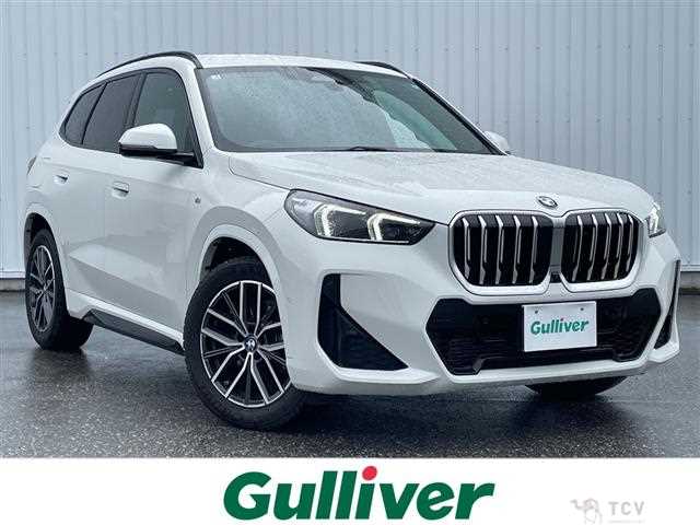 2023 BMW X1
