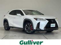 2021 Lexus UX