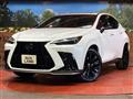 2025 Lexus NX