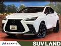 2025 Lexus NX