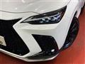 2025 Lexus NX