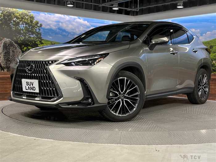 2023 Lexus NX