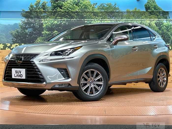 2018 Lexus NX
