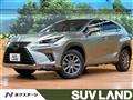 2018 Lexus NX