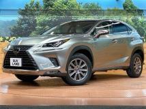 2018 Lexus NX