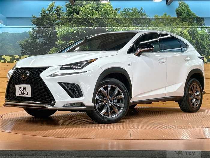 2018 Lexus NX