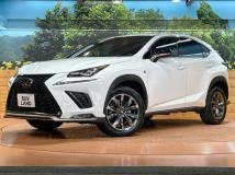 2018 Lexus NX