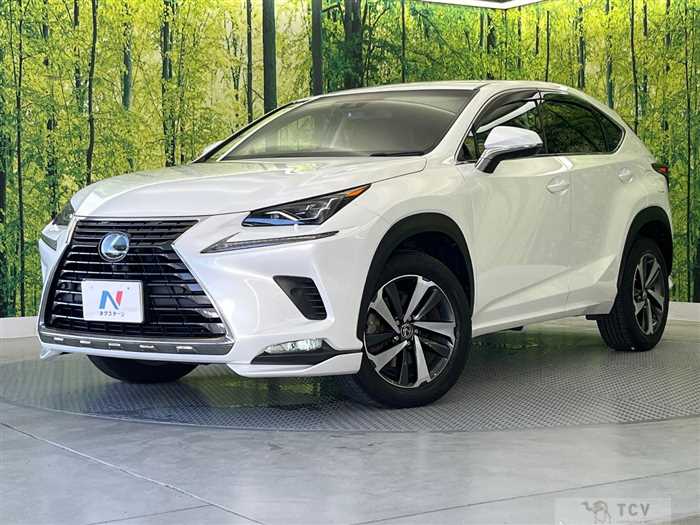 2018 Lexus NX