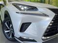 2018 Lexus NX