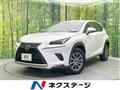 2019 Lexus NX