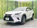 2019 Lexus NX