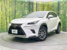 2019 Lexus NX