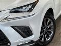 2020 Lexus NX