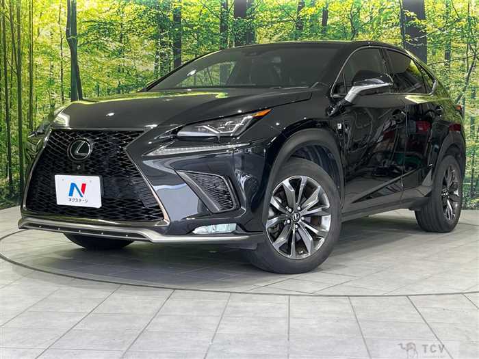 2018 Lexus NX