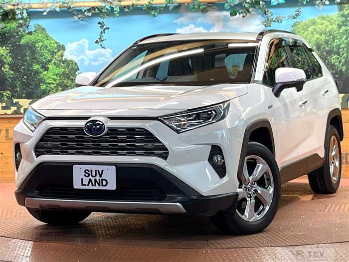 2019 Toyota RAV4