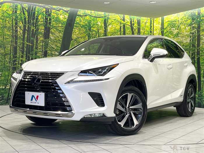 2020 Lexus NX