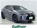 2019 Lexus UX
