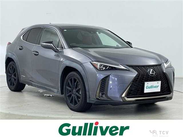 2019 Lexus UX
