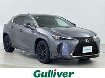 2019 Lexus UX