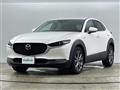 2021 Mazda CX-3