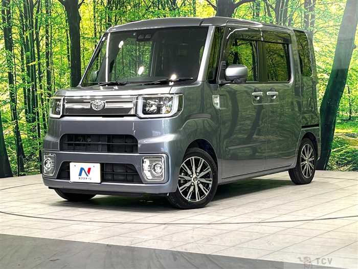 2019 Toyota PIXIS MEGA