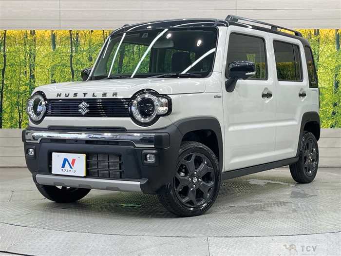 2025 Suzuki Hustler