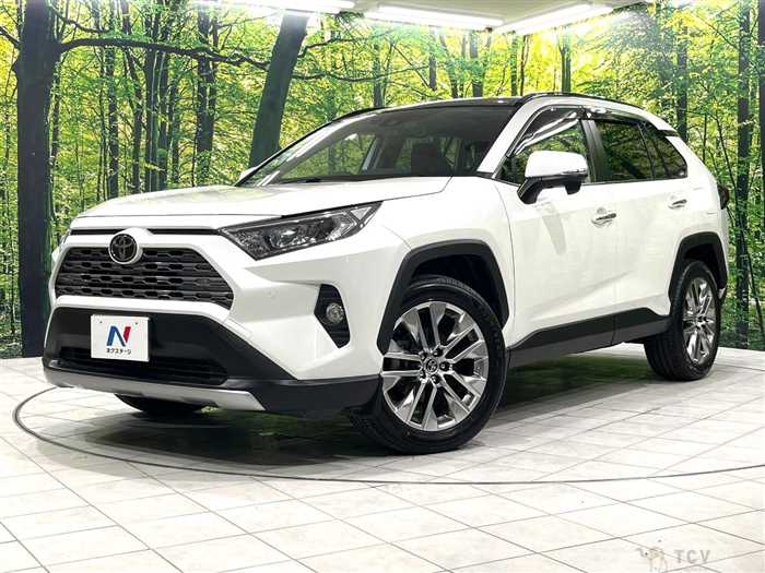 2019 Toyota RAV4