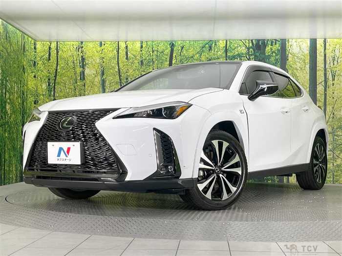 2023 Lexus Other