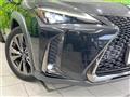 2019 Lexus Other