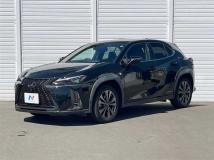 2019 Lexus Other